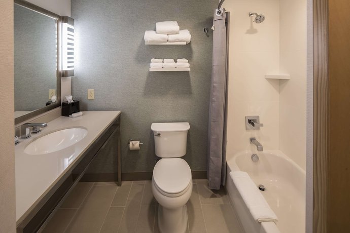 Imagen de la habitación del Hotel Hilton Garden Inn Pittsburgh Airport. Foto 3