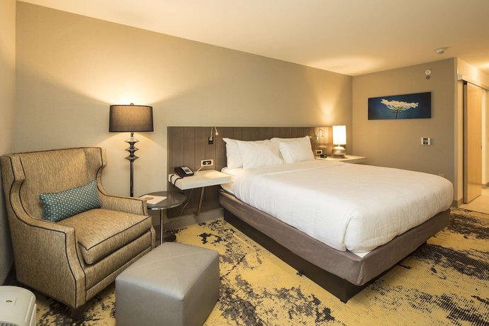 Imagen de la habitación del Hotel Hilton Garden Inn Pittsburgh Airport. Foto 6