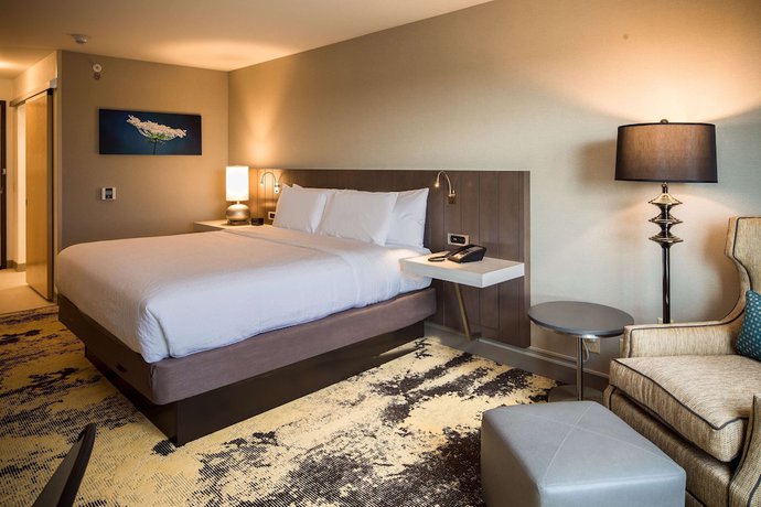 Imagen de la habitación del Hotel Hilton Garden Inn Pittsburgh Airport. Foto 9