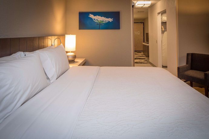 Imagen de la habitación del Hotel Hilton Garden Inn Pittsburgh Airport. Foto 11