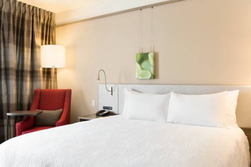 Imagen de la habitación del Hotel Hilton Garden Inn Pittsburgh Airport South-robinso. Foto 6