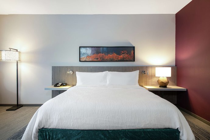 Imagen de la habitación del Hotel Hilton Garden Inn Pittsburgh Area Beaver Valley, PA. Foto 10