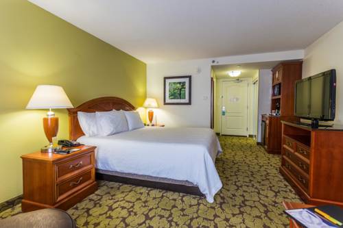 Imagen de la habitación del Hotel Hilton Garden Inn Providence Airport/warwick. Foto 6