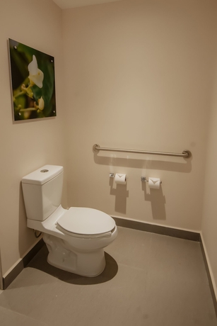 Imagen de la habitación del Hotel Hilton Garden Inn Puebla Angelópolis, Mexico. Foto 14