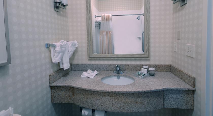 Imagen de la habitación del Hotel Hilton Garden Inn Raleigh Capital Blvd I-540. Foto 8