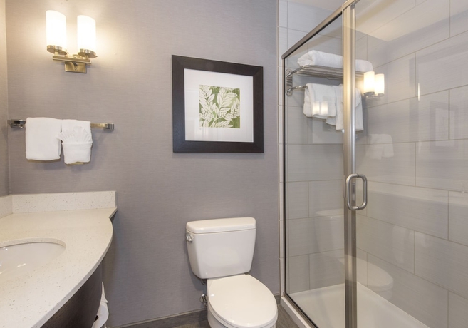 Imagen de la habitación del Hotel Hilton Garden Inn Raleigh-Cary. Foto 10