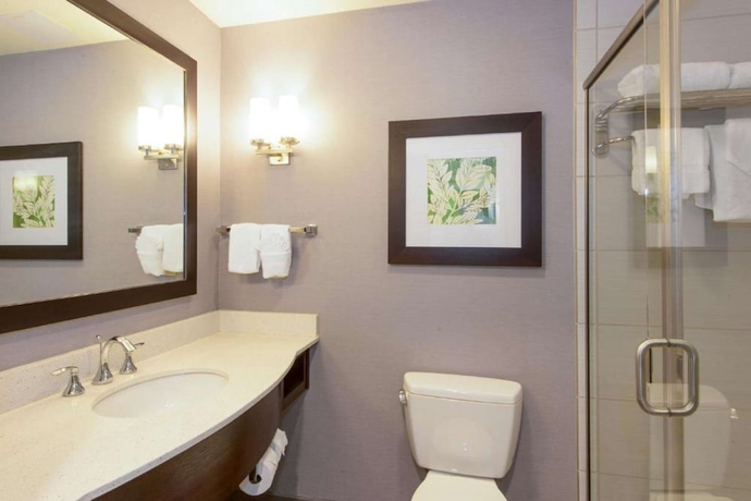 Imagen de la habitación del Hotel Hilton Garden Inn Raleigh-Cary. Foto 12