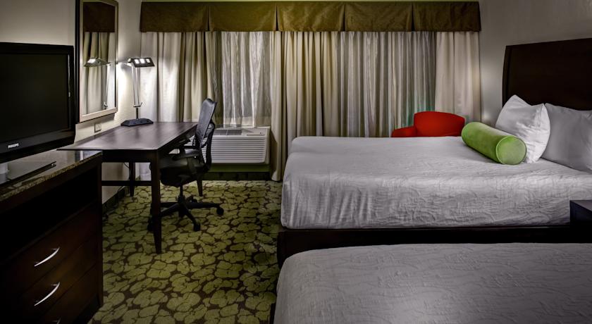 Imagen de la habitación del Hotel Hilton Garden Inn Raleigh-durham/research Triangle Park. Foto 9