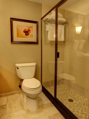 Imagen de la habitación del Hotel Hilton Garden Inn Rapid City. Foto 3