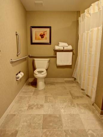 Imagen de la habitación del Hotel Hilton Garden Inn Rapid City. Foto 4