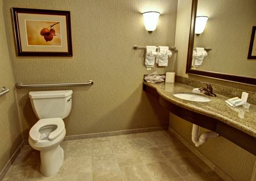 Imagen de la habitación del Hotel Hilton Garden Inn Rapid City. Foto 5
