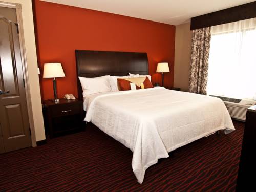 Imagen de la habitación del Hotel Hilton Garden Inn Rapid City. Foto 6