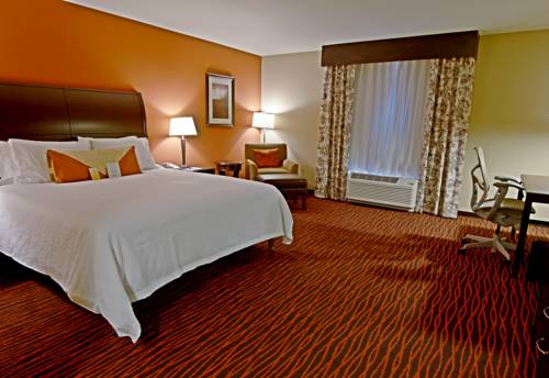 Imagen de la habitación del Hotel Hilton Garden Inn Rapid City. Foto 7