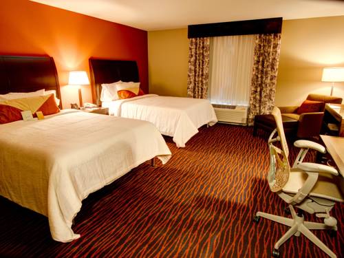 Imagen de la habitación del Hotel Hilton Garden Inn Rapid City. Foto 8