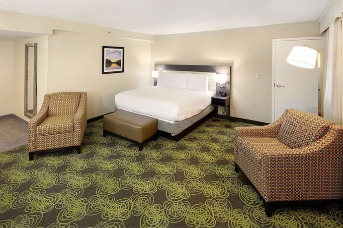 Imagen de la habitación del Hotel Hilton Garden Inn Reagan National Airport. Foto 6