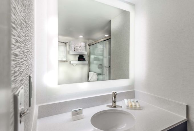 Imagen de la habitación del Hotel Hilton Garden Inn Reagan National Airport. Foto 14