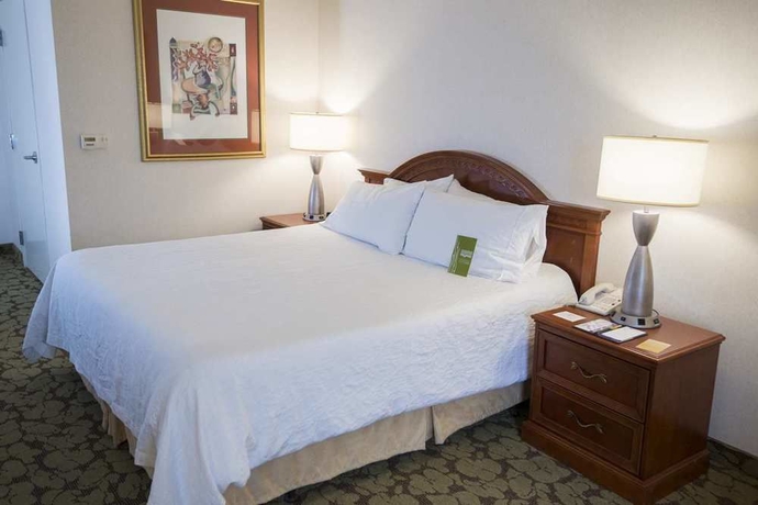 Imagen de la habitación del Hotel Hilton Garden Inn Redding. Foto 9