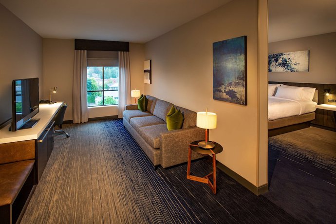 Imagen de la habitación del Hotel Hilton Garden Inn Redmond Seattle. Foto 8