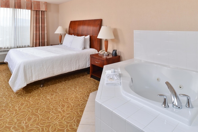 Imagen de la habitación del Hotel Hilton Garden Inn Reno. Foto 6
