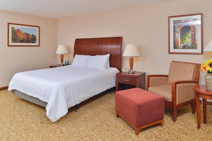 Imagen de la habitación del Hotel Hilton Garden Inn Reno. Foto 7