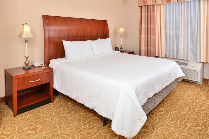 Imagen de la habitación del Hotel Hilton Garden Inn Reno. Foto 8