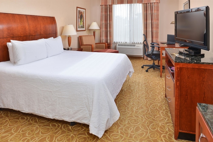 Imagen de la habitación del Hotel Hilton Garden Inn Reno. Foto 9