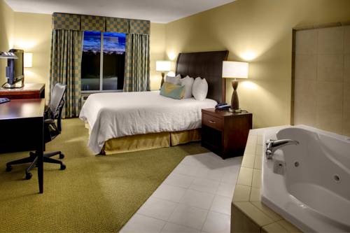 Imagen de la habitación del Hotel Hilton Garden Inn Richmond Airport. Foto 3