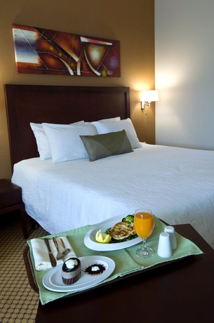 Imagen de la habitación del Hotel Hilton Garden Inn Riyadh Olaya. Foto 9