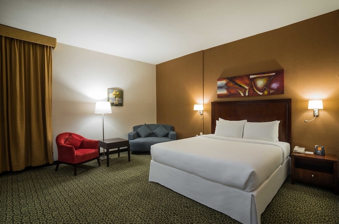 Imagen de la habitación del Hotel Hilton Garden Inn Riyadh Olaya. Foto 15