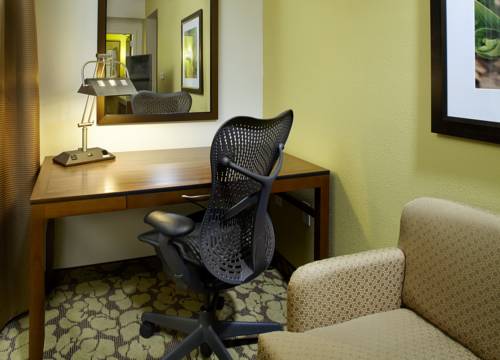 Imagen de la habitación del Hotel Hilton Garden Inn Roanoke. Foto 4