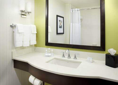 Imagen de la habitación del Hotel Hilton Garden Inn Roanoke. Foto 7
