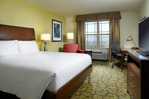 Imagen de la habitación del Hotel Hilton Garden Inn Roanoke. Foto 10