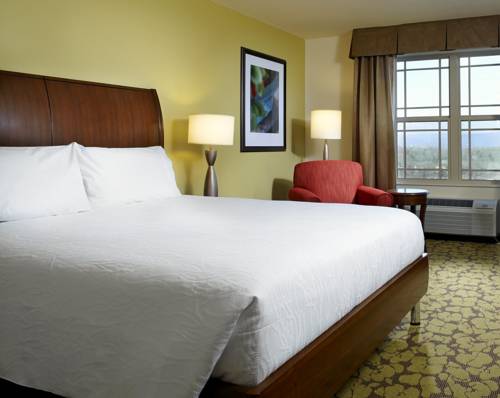 Imagen de la habitación del Hotel Hilton Garden Inn Roanoke. Foto 13