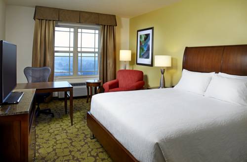 Imagen general del Hotel Hilton Garden Inn Roanoke. Foto 1
