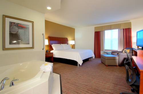 Imagen de la habitación del Hotel Hilton Garden Inn Rockford. Foto 3