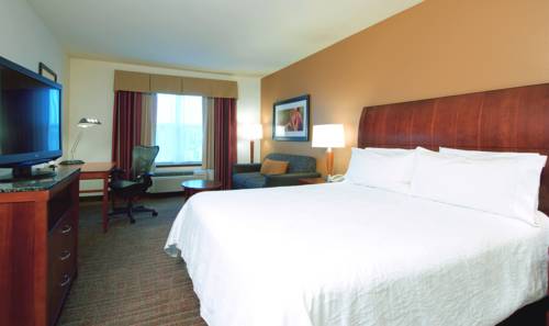 Imagen de la habitación del Hotel Hilton Garden Inn Rockford. Foto 4