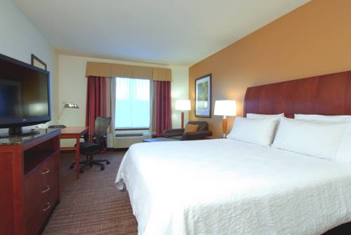 Imagen de la habitación del Hotel Hilton Garden Inn Rockford. Foto 5