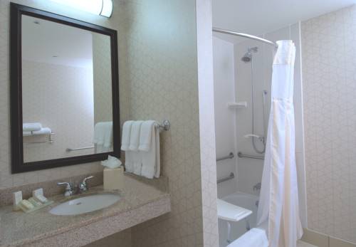 Imagen de la habitación del Hotel Hilton Garden Inn Rockford. Foto 7