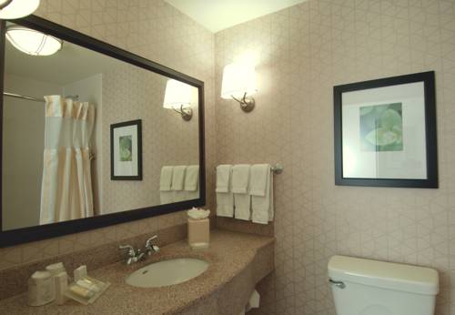 Imagen de la habitación del Hotel Hilton Garden Inn Rockford. Foto 8