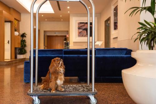 Imagen de los interiores del Hotel Hilton Garden Inn Rome Colosseum. Foto 9