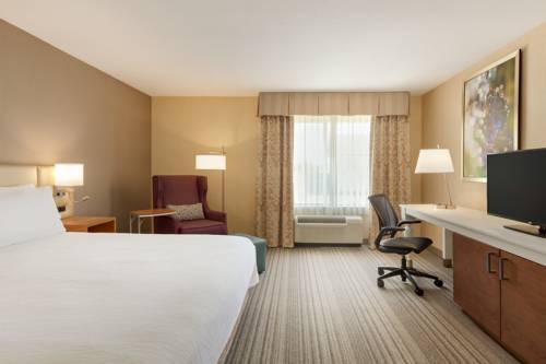 Imagen de la habitación del Hotel Hilton Garden Inn Roseville. Foto 2