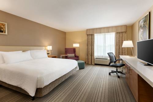 Imagen de la habitación del Hotel Hilton Garden Inn Roseville. Foto 12