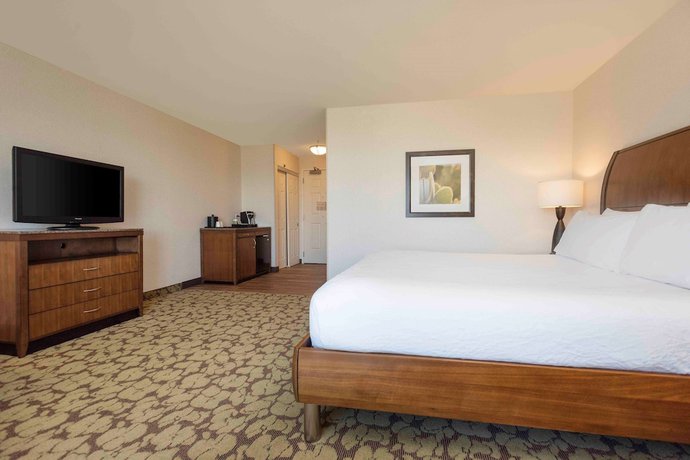 Imagen de la habitación del Hotel Hilton Garden Inn Salt Lake City Airport. Foto 2