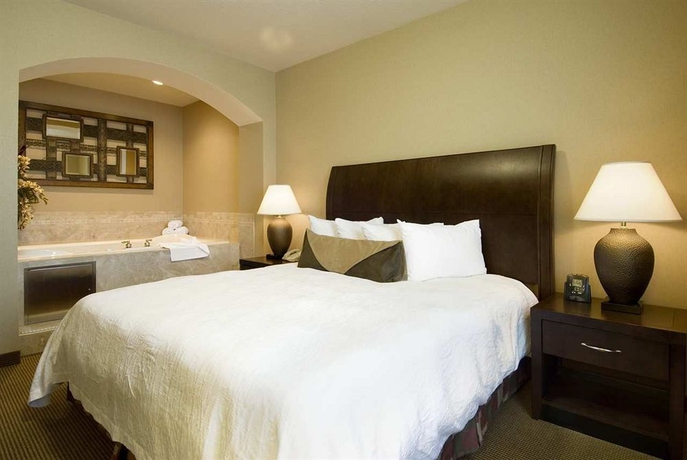 Imagen de la habitación del Hotel Hilton Garden Inn Salt Lake City Downtown. Foto 8