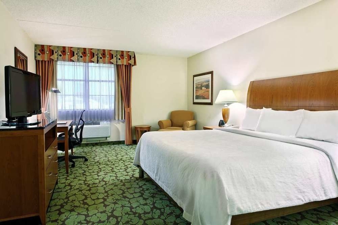 Imagen de la habitación del Hotel Hilton Garden Inn San Antonio Airport. Foto 4