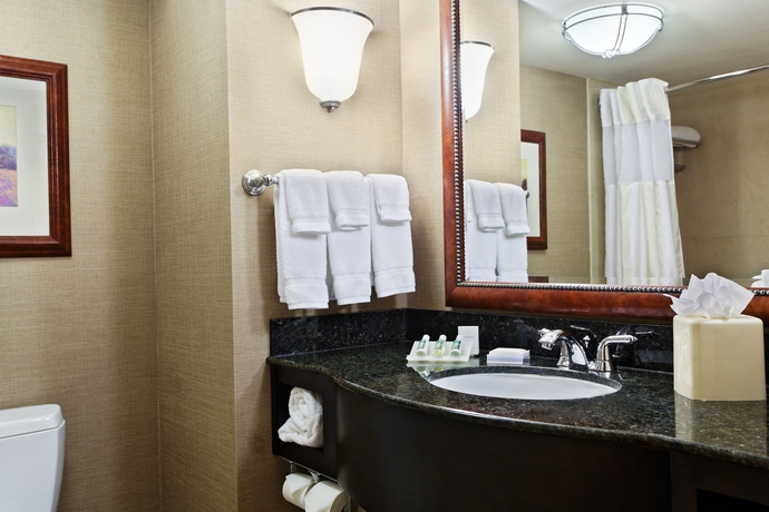 Imagen de la habitación del Hotel Hilton Garden Inn San Antonio Airport. Foto 5
