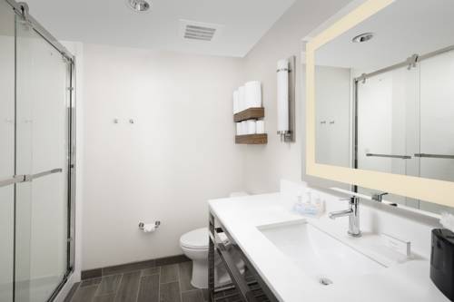 Imagen de la habitación del Hotel Hilton Garden Inn San Antonio Downtown Riverwalk. Foto 2