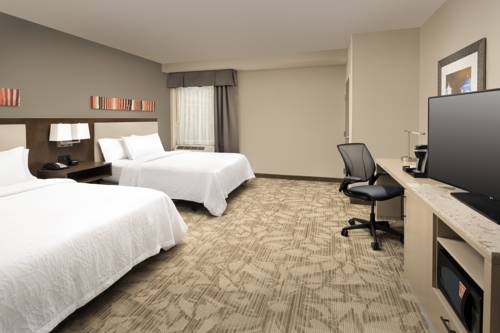 Imagen de la habitación del Hotel Hilton Garden Inn San Antonio Downtown Riverwalk. Foto 6