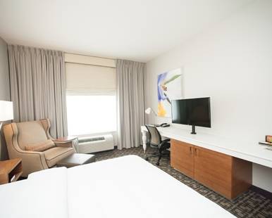 Imagen de la habitación del Hotel Hilton Garden Inn San Antonio-live Oak Conference. Foto 2