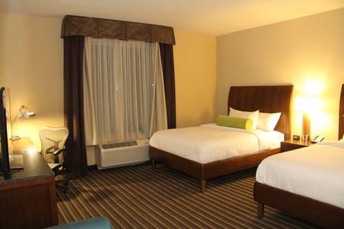 Imagen de la habitación del Hotel Hilton Garden Inn San Antonio/rim Pass Drive. Foto 1